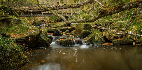 Small waterfall on Hareshaw Linn, Northumberland. England, UK