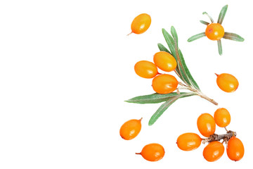 Sea buckthorn. Fresh ripe berry with leaves isolated on white background with copy space for your text. Top view. Flat lay pattern