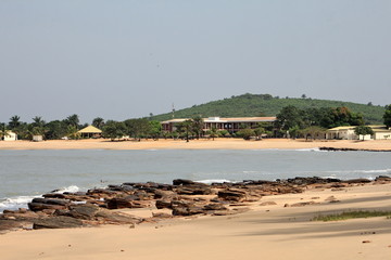 guinea