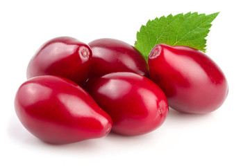 Red berries of cornel or dogwood with leaf isolated on white background