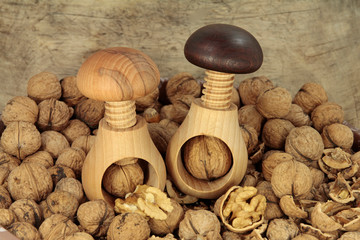 nüsse knacken mit dem pilz