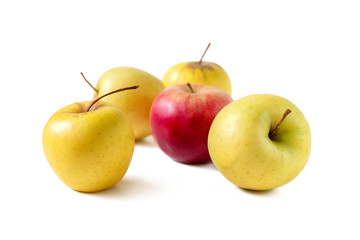 Four yellow apples and one red isolated on white background