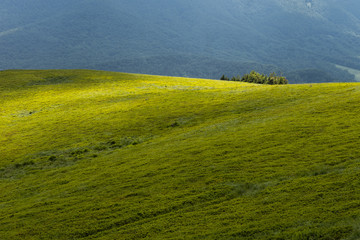 Calm, green hill.