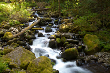 waterfall in the forest