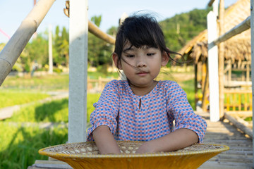 Portrait Cute little girl Asian happy background Rice field