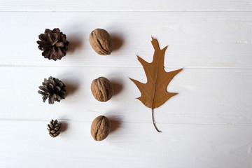 Pine cones, walnuts and oak leaf on a white table.