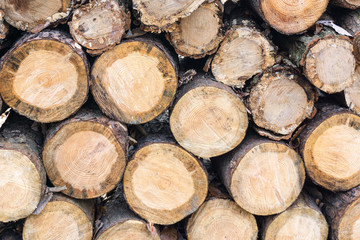 background of firewood