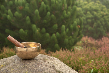 The Tibetan singing bowl stands on top of a stone against the background of the beautiful nature of...