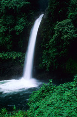 Fototapeta na wymiar La Fortuna Waterfall in the rainforest of Costa Rica