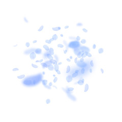 Dark blue flower petals falling down. Extraordinar
