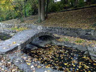 Autumn in the park