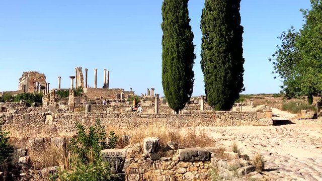 Roman ancient ruins at the archaelogical UNESCO Heritage site of Volubilis in Morocco, Africa