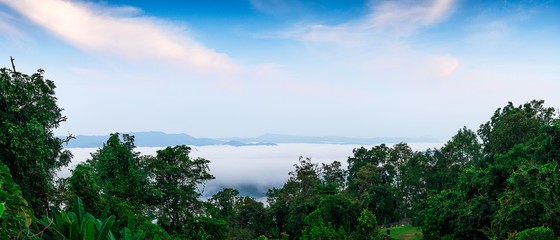 Panorama landscape forest and mountain and mist