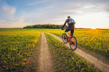 Fototapeta na wymiar Cyclist on a dirt road in a field at sunset