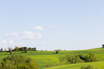 Obraz premium Green hills swaying with soft Umbre lines