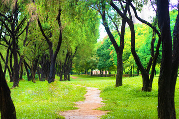 Naklejka premium Green landscape with narrow road 