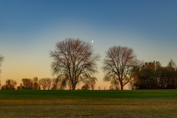 Fototapeta premium Autumn Nature View from Duesseldorf with Half Moon