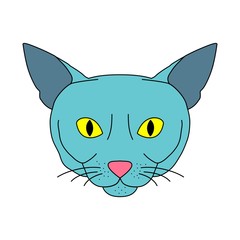 Blue abyssinian cat with yellow eyes on white background. Vector illustration