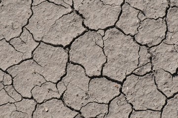 close up of crack mud