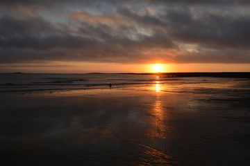 Dog on beach at sunrise