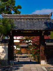 Obraz premium Japanese roof style in autumn, concept with copy space
