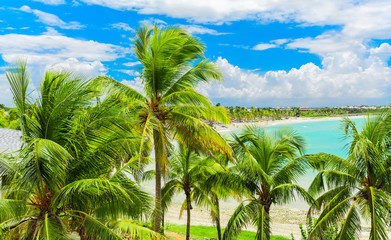 Fototapeta na wymiar Varadero, Cuba, stunning gorgeous inviting view from tropical garden on Cuban Varadero beach, tranquil turquoise tender ocean against blue sky background on sunny summer day