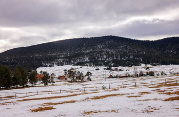 Snow on the mountain