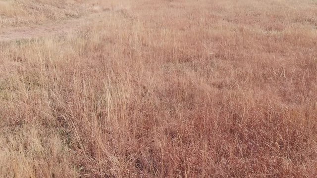 grass field flyover