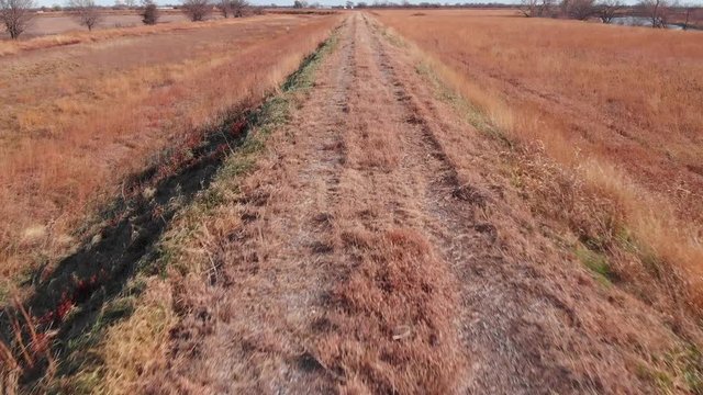 A dirt road through over grown field