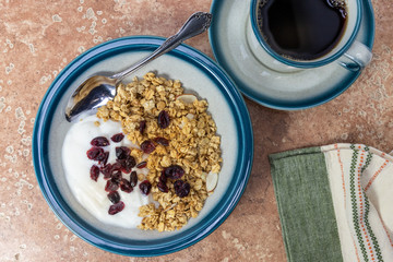 Bowl with Cranberries and Granola