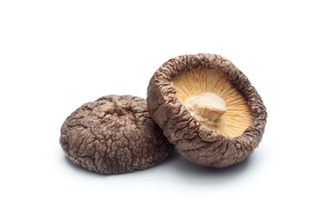 Dried shiitake mushrooms on white background