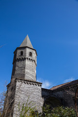 Obraz premium Bell tower covered with branches