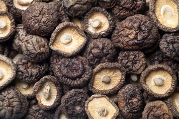 Food background of dried shiitake mushrooms