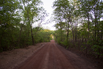 Obraz premium Estrada