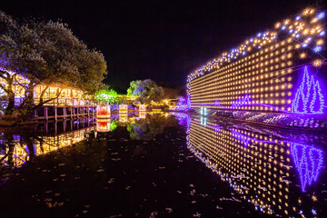 あしかがフラワーパーク　イルミネーション