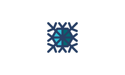 Snowflake Icon Winter Template Vector