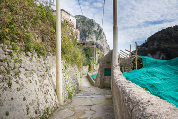 Lemons covered with a net