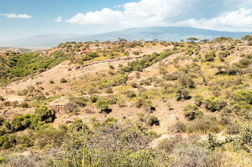 Fototapeta na wymiar Ngorogoro Valley in Tanzania