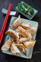 Gyoza dumplings with seaweed salad on a turquoise tableware, vertical shot