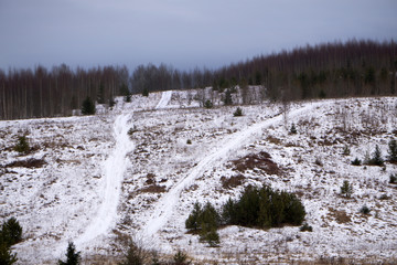 first white snow has fallen out on autumn field .