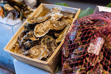 Fresh oysters in shell in wooden box and net in buffet line.