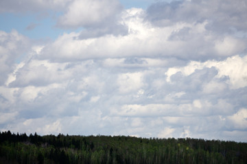 Fototapeta premium river and sky with cloud summer landscape .