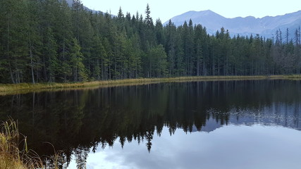 Smreczynski Pond in the Polish National Park at the end of the Koscielisko Valley
