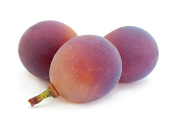 Grape 