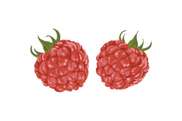 Raspberry on white background