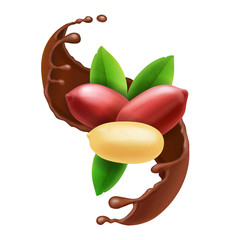 Peanut nuts in chocolate splash