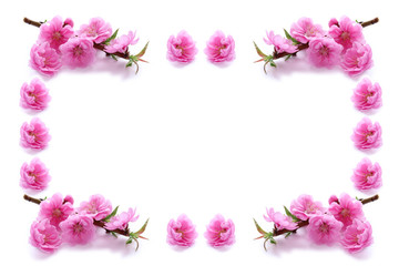 Fototapeta na wymiar 桃の花のフレーム（合成画像）