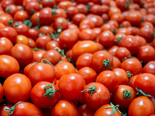 Ripe tomatoes at the farmers market