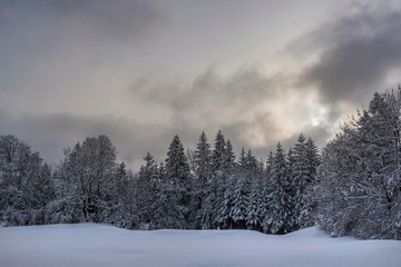 Fototapeta na wymiar Winter im Naturpark Dobratsch
