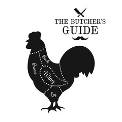 Poultry, chicken meat cut lines diagram graphic poster, guide fo